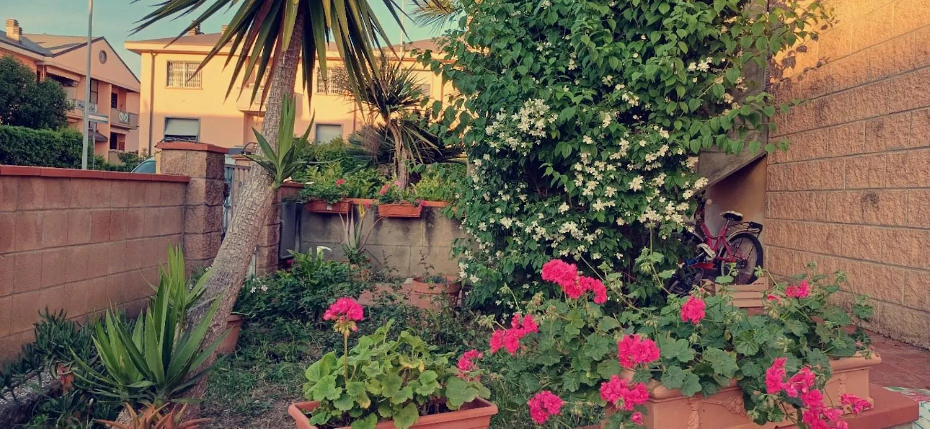 Hotel Stella Cecina